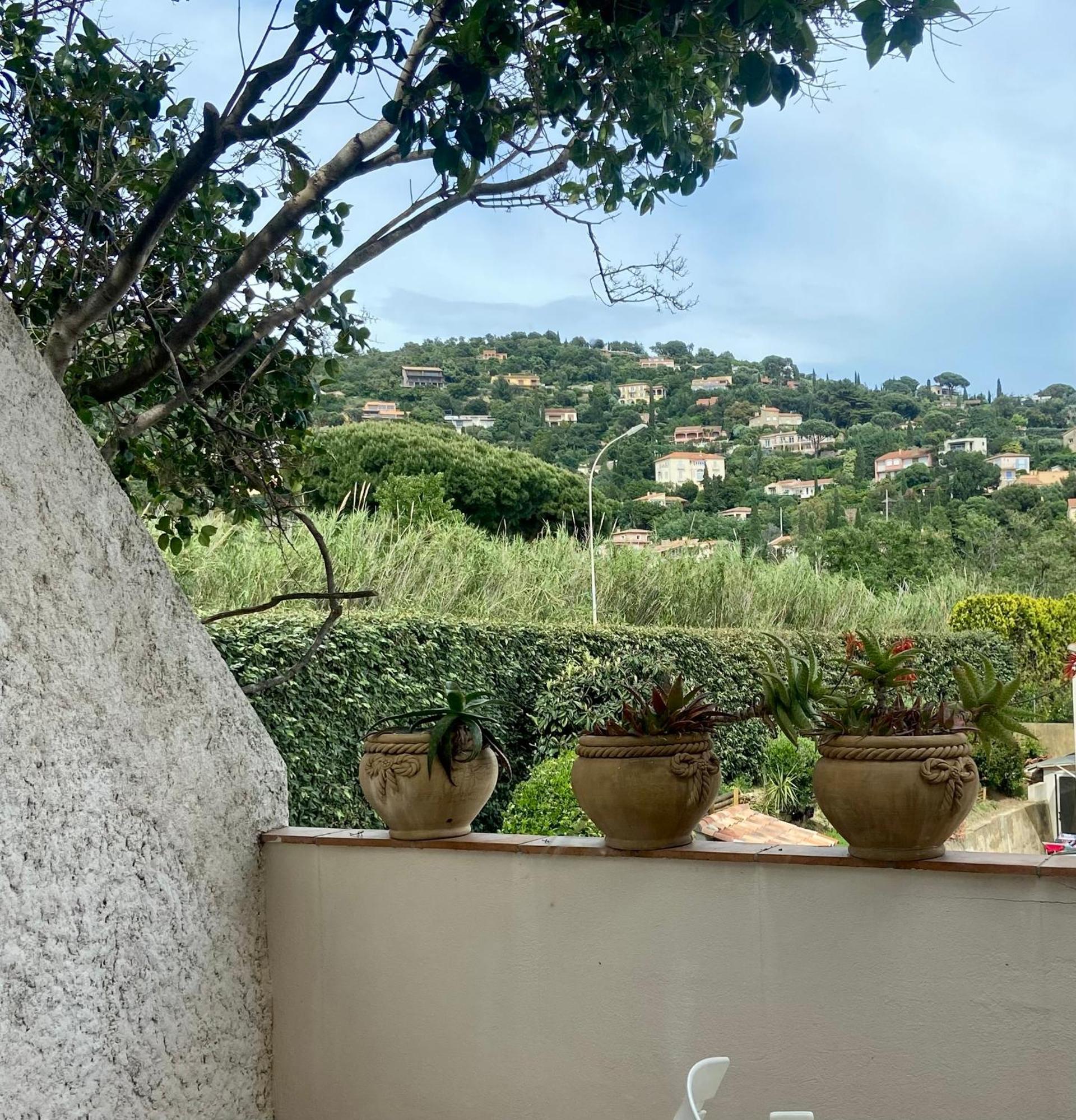 Les Alcyons Hotel Le Lavandou Exterior photo